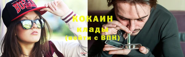 ПСИЛОЦИБИНОВЫЕ ГРИБЫ Арсеньев