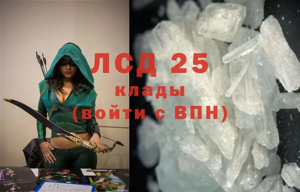 ПСИЛОЦИБИНОВЫЕ ГРИБЫ Арсеньев
