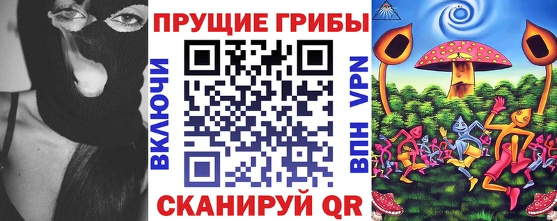 Галлюциногенные грибы Psilocybe  где купить наркоту  Пестово 